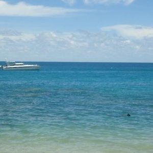 Meet your Posher, Roni